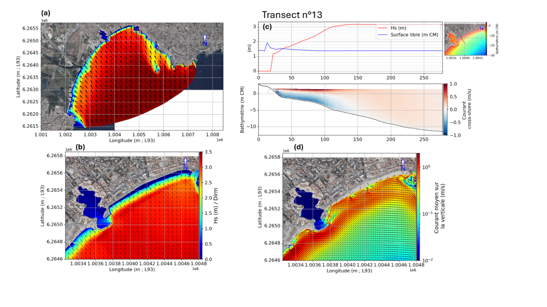Modélisation SCHISM-WWM dans le cadre d’un projet d’aménagement de l’avant-plage de Fréjus : (a) et (b) distribution des hauteurs significatives, (c) profil perpendiculaire à la côte illustrant les circulations simulées à l’échelle de la colonne d’eau (courant < 0 orienté vers le large), et (d) circulation moyenne (sur la hauteur d'eau) induite par les vagues. Etude WMC pour Esterel Côte d’Azur d'Agglomération.